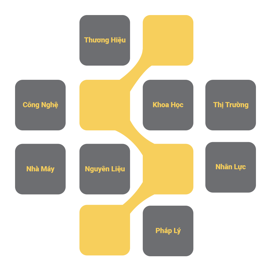 Dịch vụ - Hệ sinh thái toàn diện